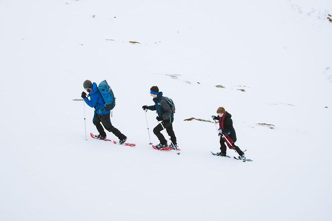 Half Day Snowshoe Tour - Your Guide Matters: Attentive Leadership in Real Conditions