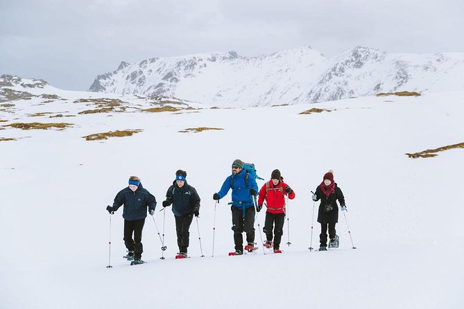 Half Day Snowshoe Tour - Fitness and Age Fit: Who Should Book This Snowshoe Tour