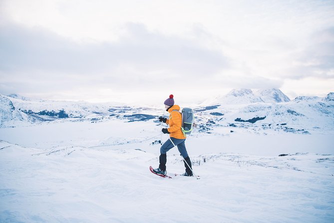 Half Day Snowshoe Tour - What English Adds (and What It Doesn’t)