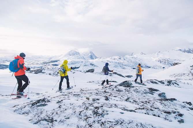 Half Day Snowshoe Tour - Value for $105.13: Is It a Good Deal?