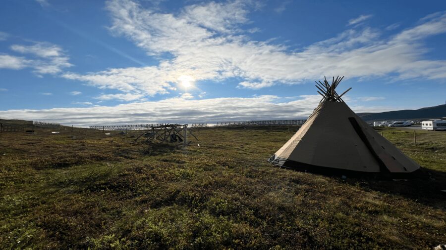 Hammerfest: Guided Tour - Meet Reindeer - Who should book this reindeer meet-and-learn tour