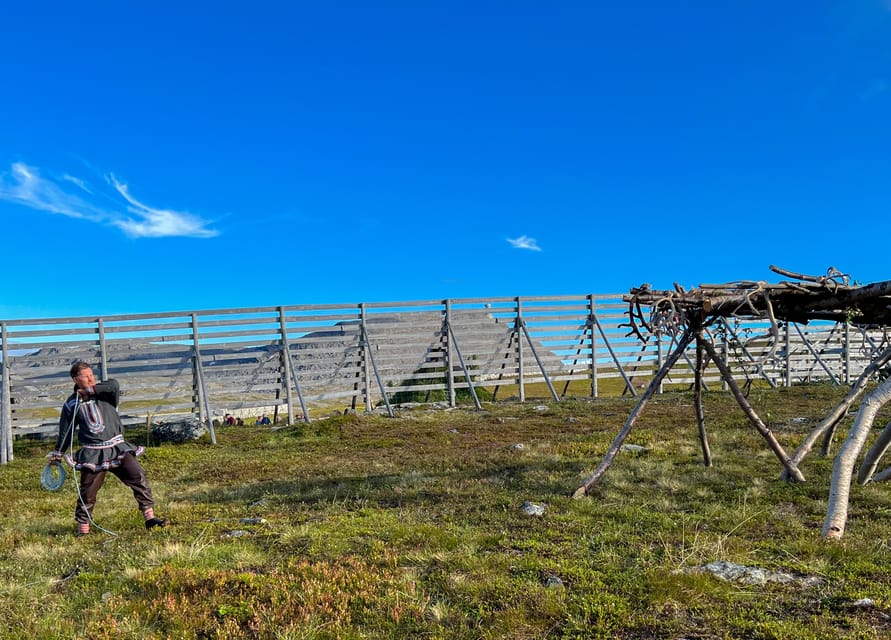 Hammerfest: Guided Tour - Meet Reindeer - An active Sámi reindeer area, not a zoo stop