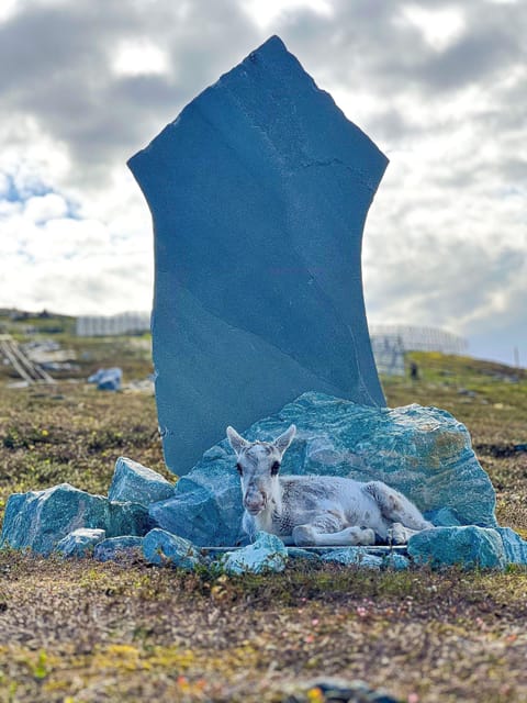 Hammerfest: Guided Tour - Meet Reindeer - Inside the lavvu: fire warmth, reindeer hides, and joik