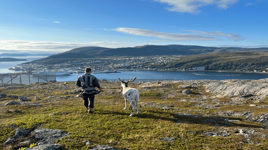 Hammerfest: Guided Tour - Meet Reindeer - Panoramic mountain views you can enjoy without racing