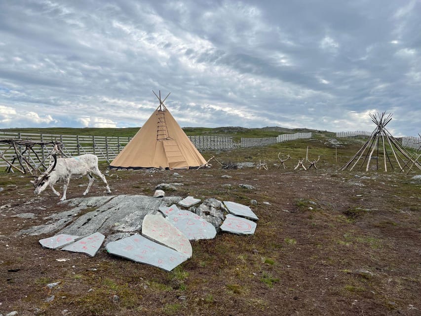 Hammerfest: Guided Tour - Meet Reindeer - Price and value: what $157 buys in 90 minutes