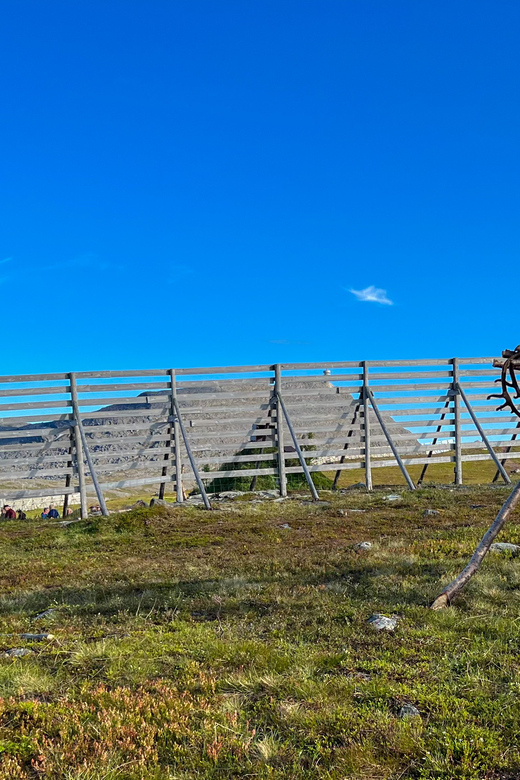 Hammerfest: Guided Tour - Meet Reindeer - Finding the camp on Salen Mountain (and how easy it is)
