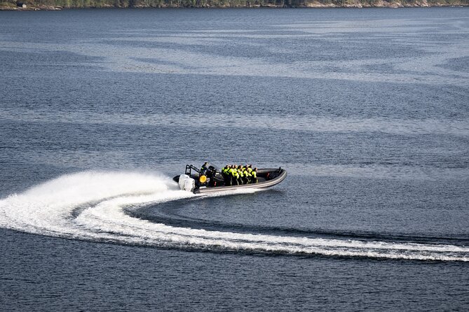 Hardangerfjord Ultimate RIB adventure from Ulvik - Hardanger Bridge stop: the view you do not get from the road
