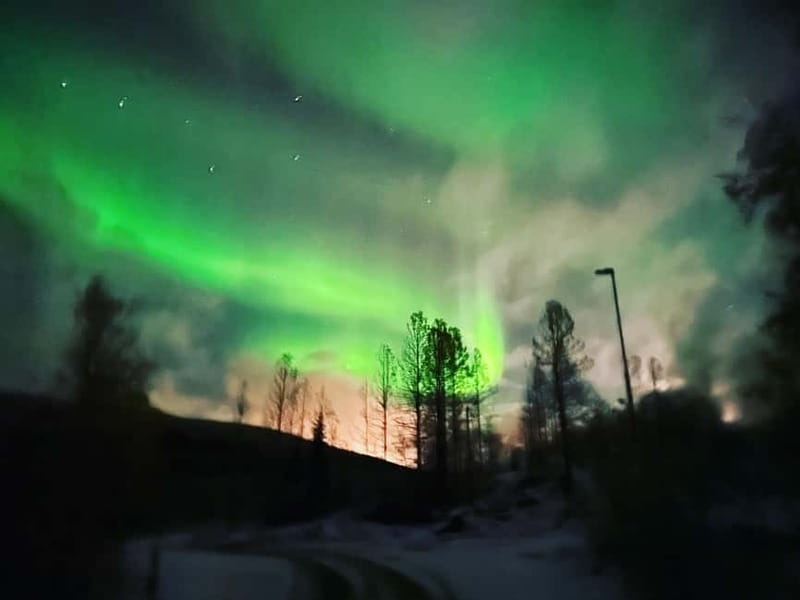 Harstad/Narvik: Northern Lights Tours with Second Day Chance - A Northern Lights Tour That Feels Like a Strategy Session