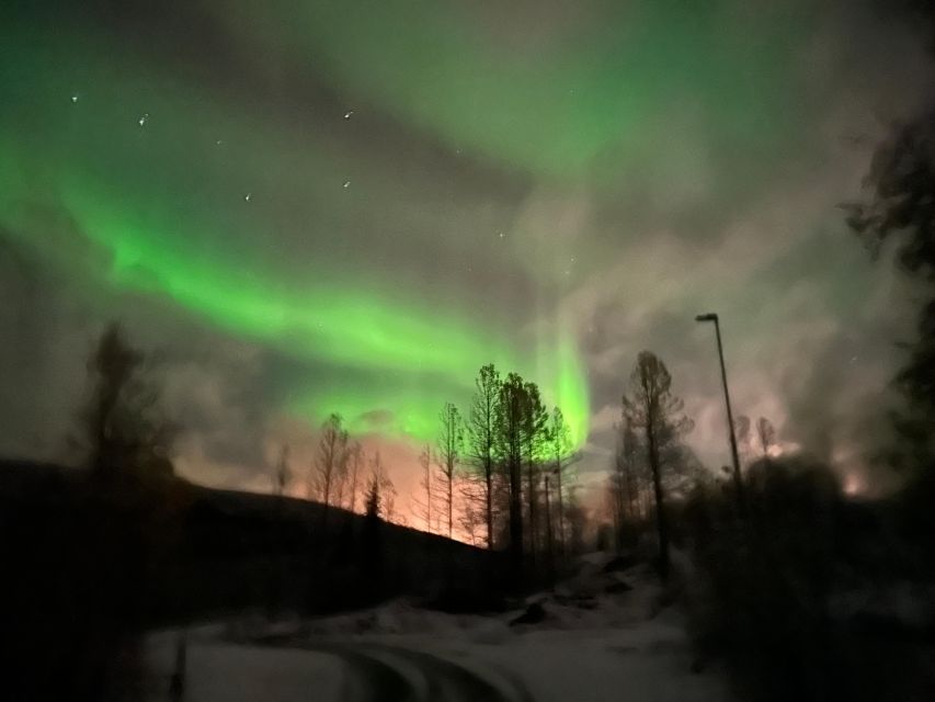 Harstad/Narvik: Northern Lights Tours with Second Day Chance - Price and Value: Why $272 Might Make Sense Here