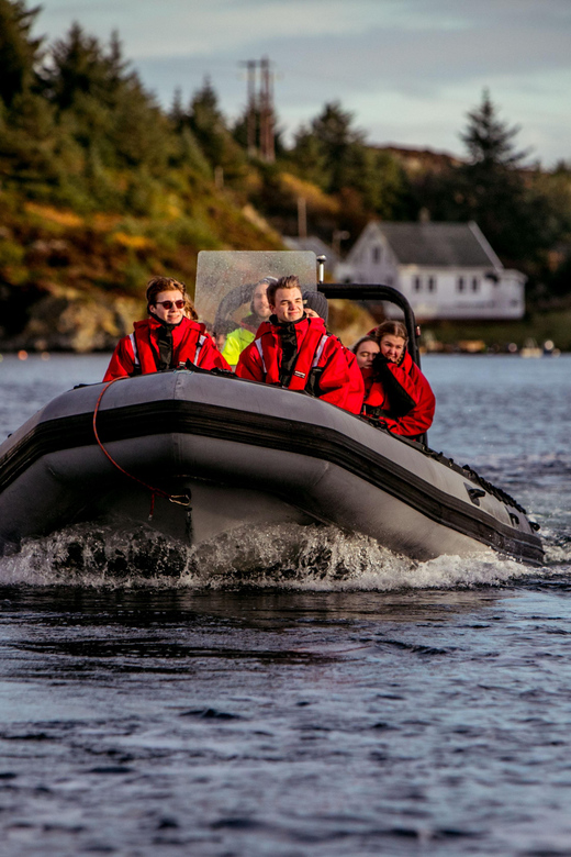 Haugesund: RIB Safari to the island communities - Haugesund RIB Safari: speed on the North Sea, island life up close