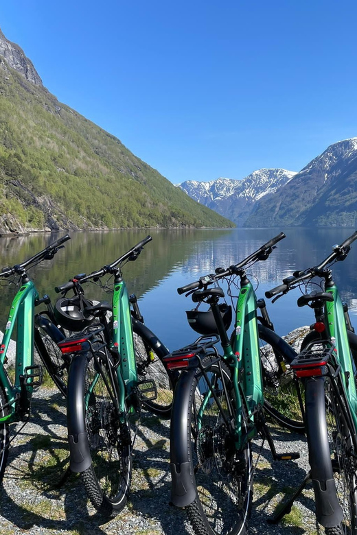 Hellesylt to Norangsdalen: Scenic E-Bike Tour - Key things I’d focus on before you go