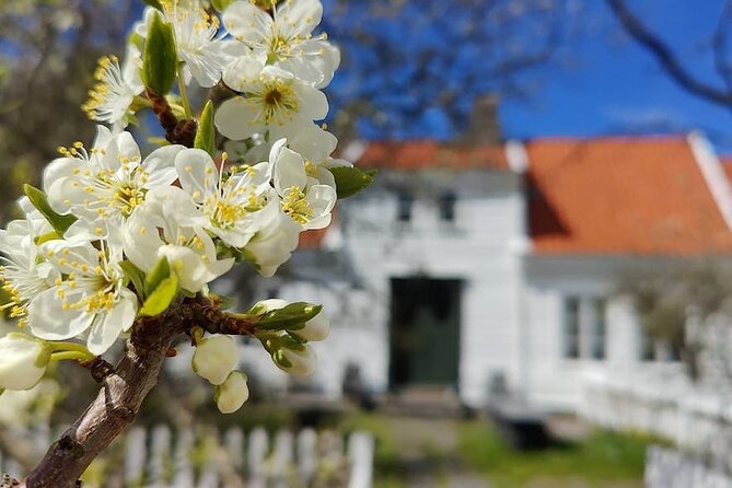 Highlights of the Region -City/Skudenes/Avaldsnes Guided Bustour - Key Takeaways Before You Go