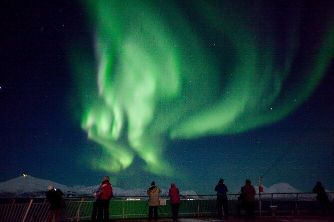 Highway to Heaven - Aurora Cable Car Transfer in Tromsø - A Simple Way Into Aurora Cable Car, With Pickup Included