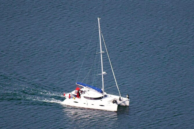 History Fjordcruise Around The Isle Of Tromso - Luxury Catamaran - Cruising around Tromsø and passing Kvaløya