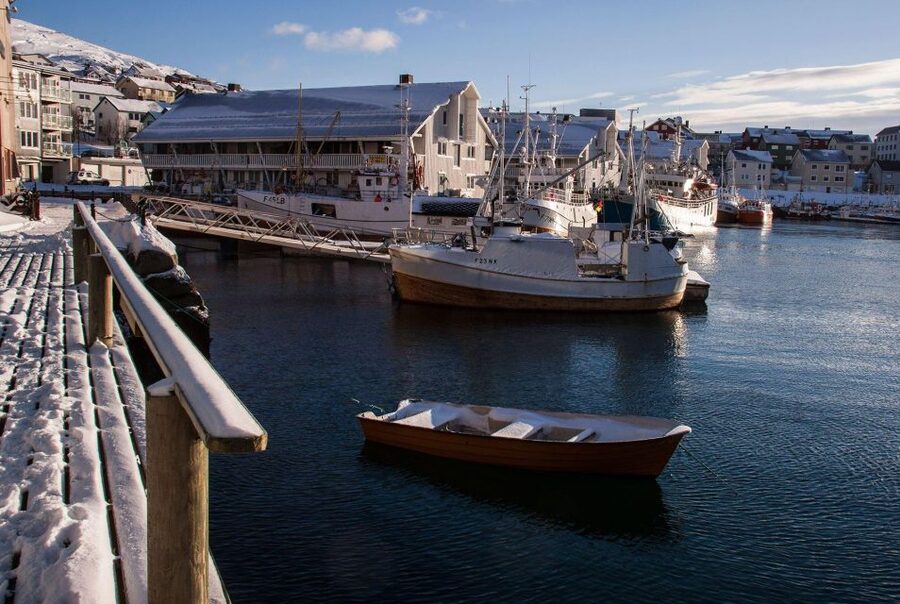 Honningsvåg: North Cape Winter Excursion with Entry Ticket - North Cape views: fjords, ocean, and the monumental cliff
