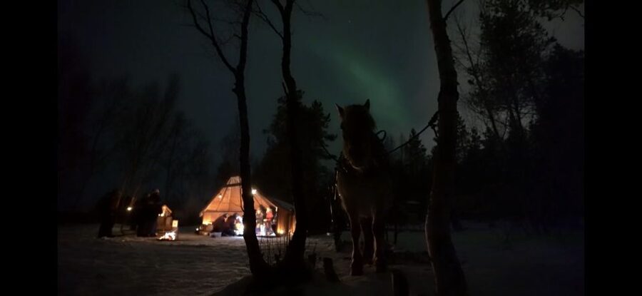 Horse riding and dining experience - Gear up, meet the horse, and learn the basics fast