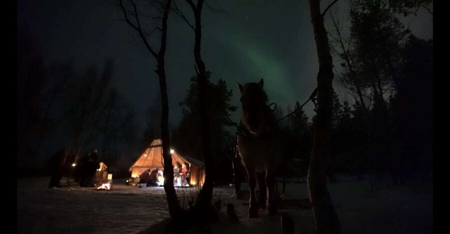 Horse riding and dining experience - Winter timing: how the northern lights chance fits a 3-hour evening