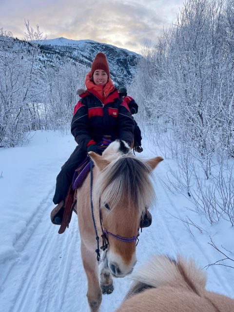 Horse riding and dining experience - Price and value: what you get for $313