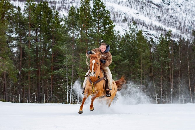 Horseback riding - Quick Hits That Matter