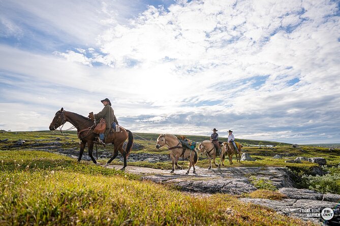 Horseback riding - Alta Horseback Riding With Flatmoen Natur: What Happens in Those Two Hours