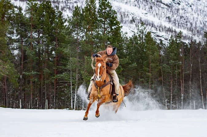 Horseback riding - Guide and Group Dynamics: Small Team Energy