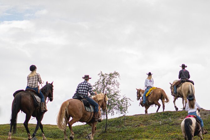 Horseback riding - Horses You Can Feel Good About