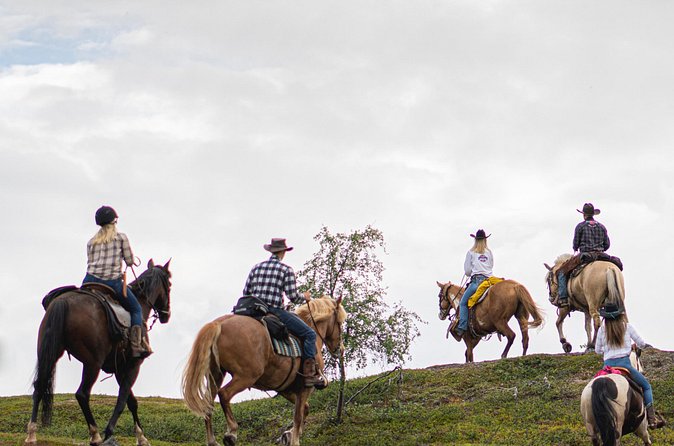 Horseback riding - Who This Ride Fits Best (and Who Might Want to Skip)