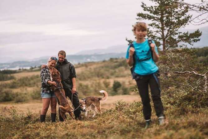 Husky Hike and Puppy Visit with Lunch - Key Takeaways Before You Go