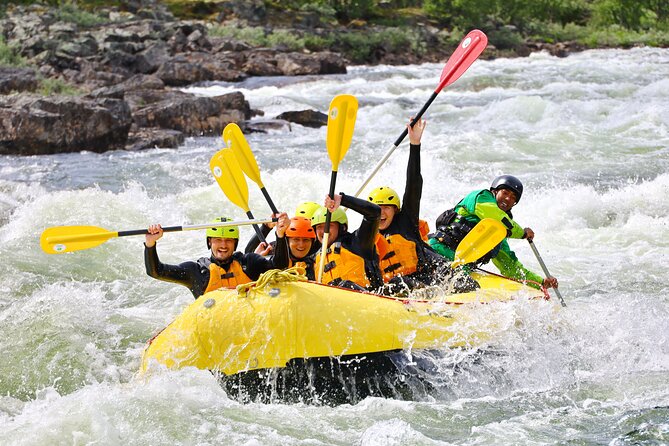 Intermediate Difficulty Level Rafting Experience in Dagali - Price and Value: What $127.68 Buys You in 3 Hours