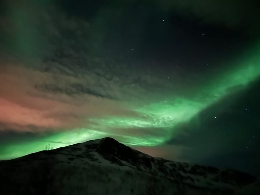 Kirkenes: Northern Lights Chase Tour - Pickup and a Small Group Ride That Feels Human