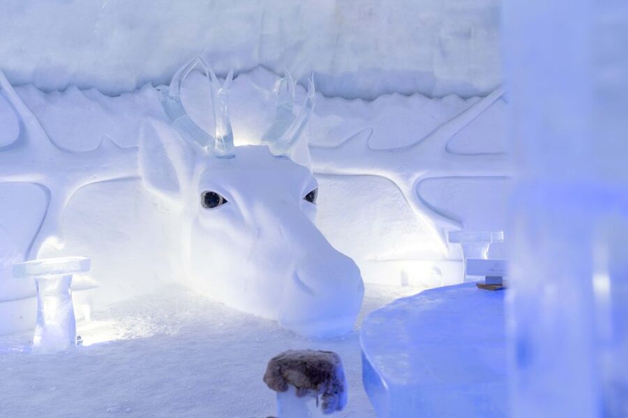 Kirkenes: Snowhotel Entrance Ticket - Reindeer grazing, then the husky yard (no special effects)