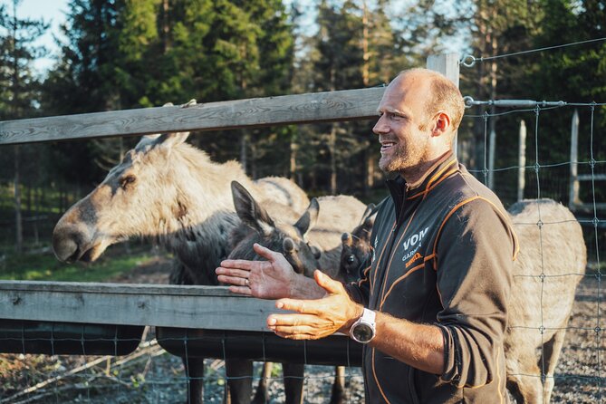 Kristiansand Guided Bus Tour and Moose Park Experience - Moose, Bus, and Viltgården: What This Day Feels Like