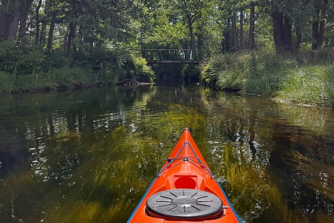 Kristiansand: Kayaking River Tour Adventure - Hakeem’s touch: patient help and picture moments