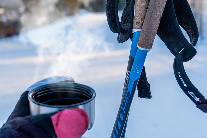 Learn Nordic Skiing - Private Class with Professional Instructor - Who this Nordic skiing class is best for