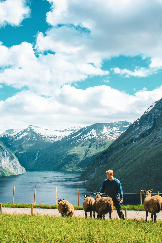 Ljøen, Hellesylt: Ljøen Farm Tour - Coffee, Tea, and Norwegian Waffles With a View