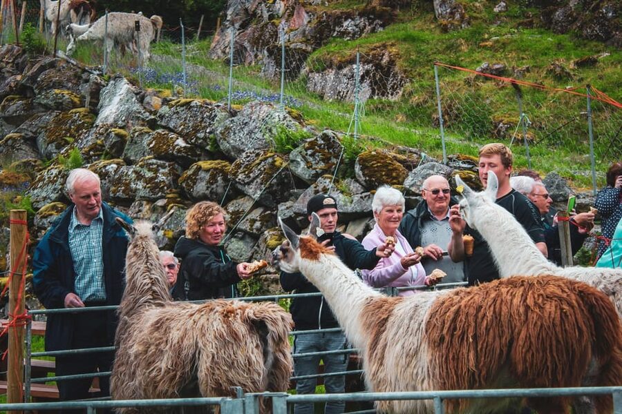 Ljøen, Hellesylt: Ljøen Farm Tour - The Real Value: Storytelling About Mountain Farming