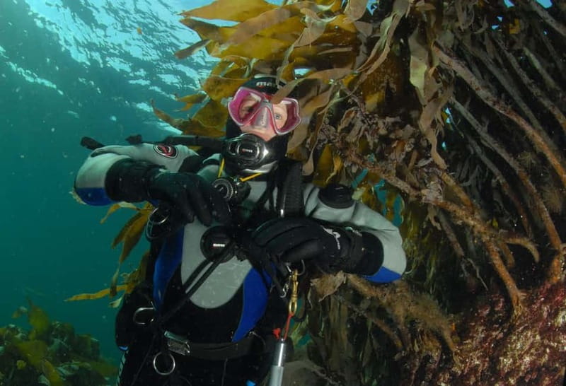 Lofoten: First Time Scuba Diving Experience - Meeting at Øyaveien 31 and getting ready with the right gear