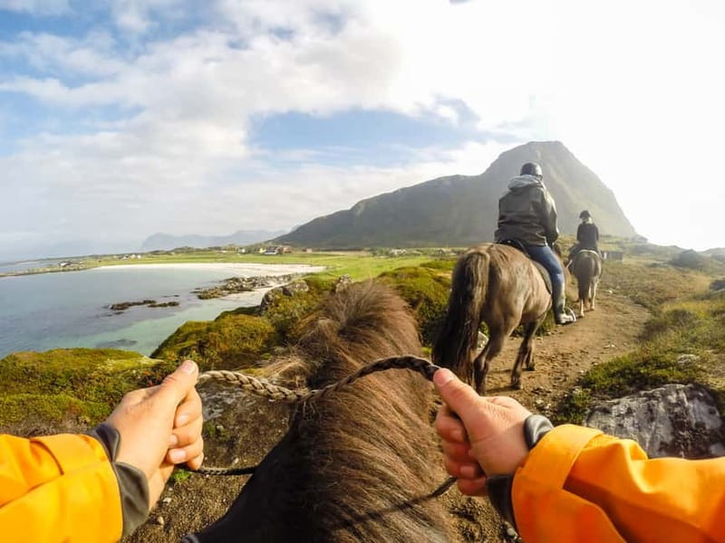 Lofoten: Guided Horse Riding Tour Over Hov and Hovsund - Key highlights to look for