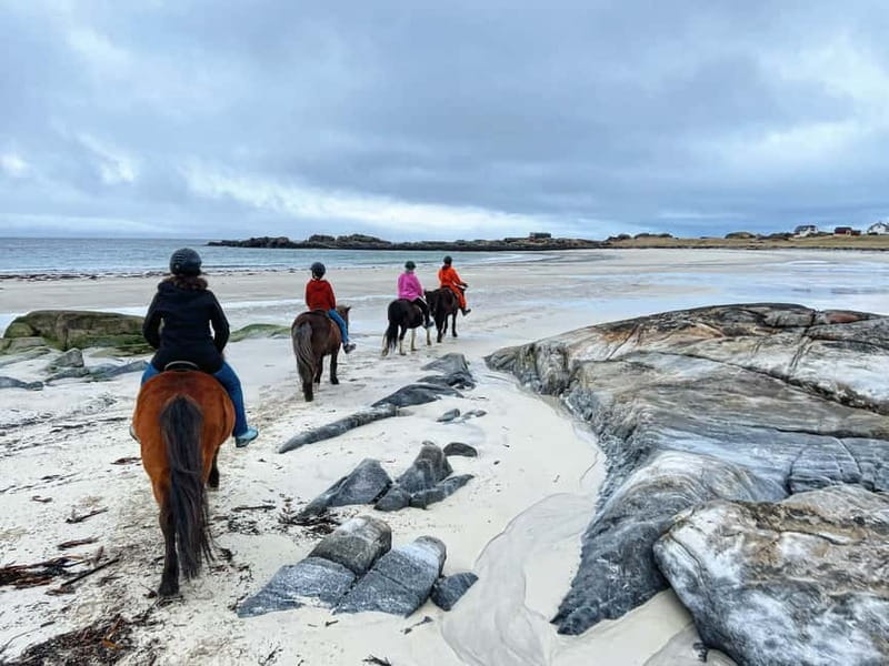 Lofoten: Guided Horse Riding Tour Over Hov and Hovsund - Entering The Ride at Hov Horse Farm in Gimsøysand