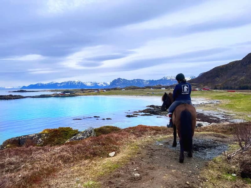 Lofoten: Guided Horse Riding Tour Over Hov and Hovsund - Riding Over Hov: Arctic Beach Time at a Relaxed Pace