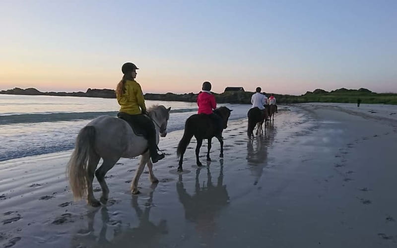 Lofoten: Guided Horse Riding Tour Over Hov and Hovsund - Hovsund Fishing Village, Dried Fish Racks, and Viking Remnants