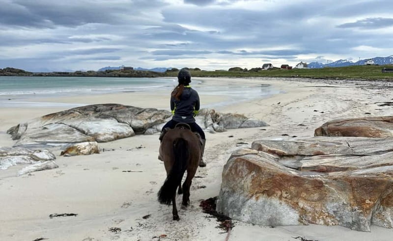 Lofoten: Guided Horse Riding Tour Over Hov and Hovsund - FAQ
