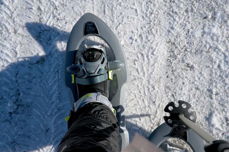 Lofoten: Guided Mountain Snowshoe Adventure - Why Lofoten snowshoeing feels different in January through April