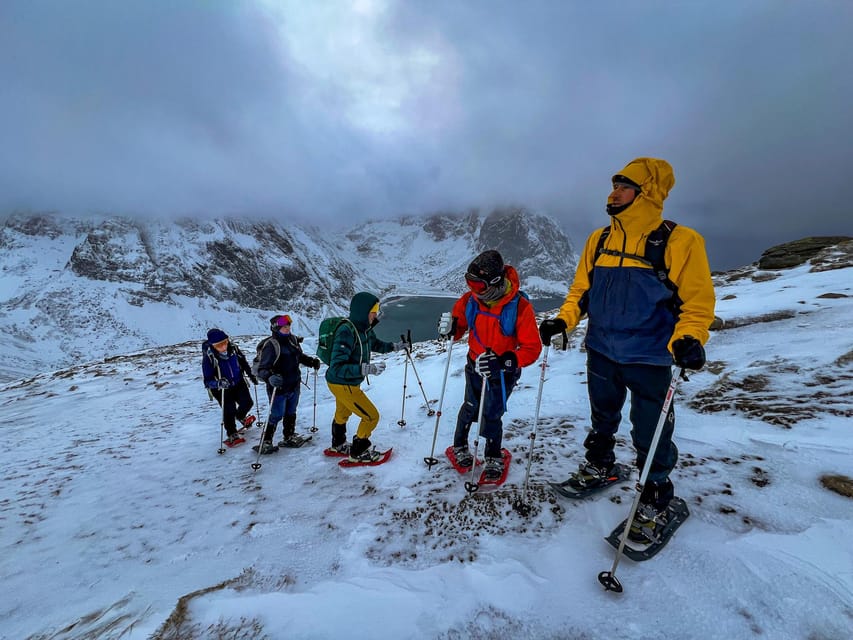 Lofoten: Half Day Snowshoe Tour - Key things that make this Lofoten snowshoe tour worth your time