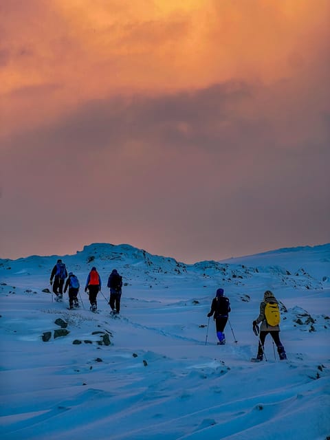 Lofoten: Half Day Snowshoe Tour - Getting Set Up for a 4-Hour Snowshoe Walk Near Eggum