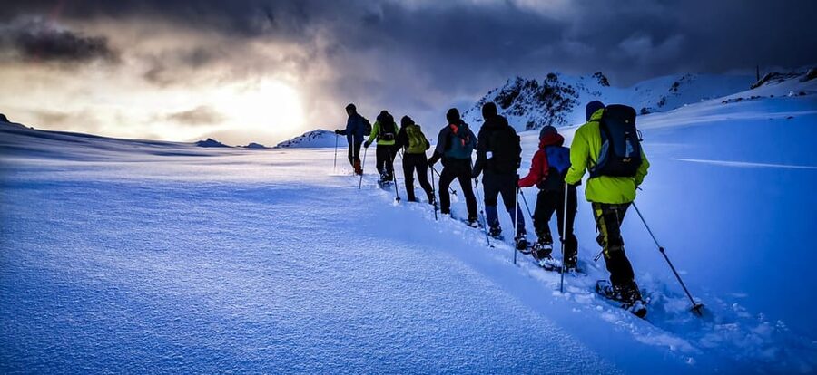 Lofoten: Half Day Snowshoe Tour - Who This Lofoten Half-Day Snowshoe Tour Is Best For