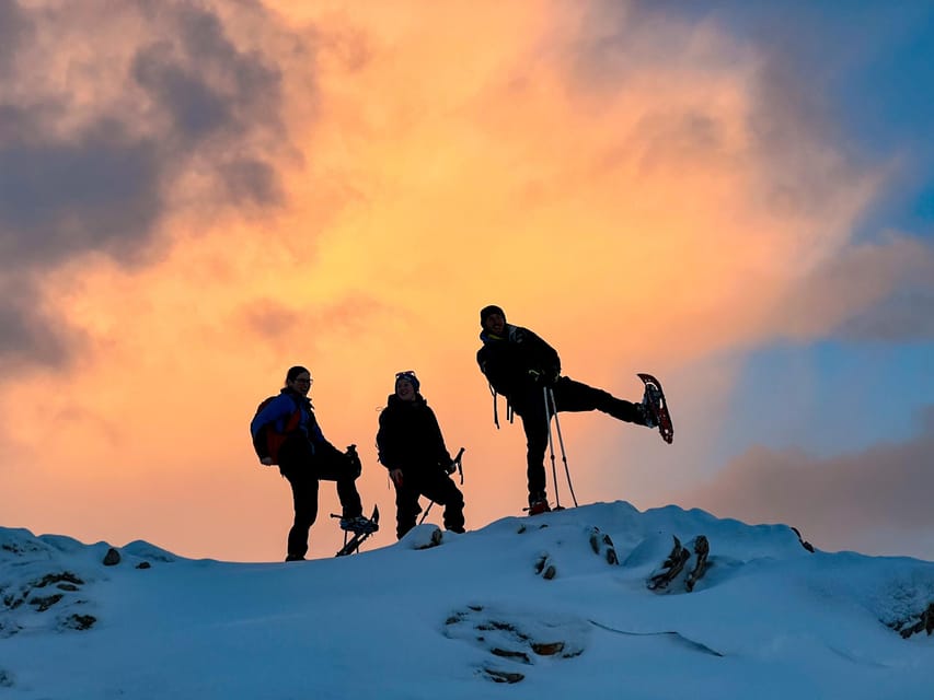 Lofoten: Half Day Snowshoe Tour - What the Hike Feels Like: Quiet Snow, Animal Prints, and Steady Progress