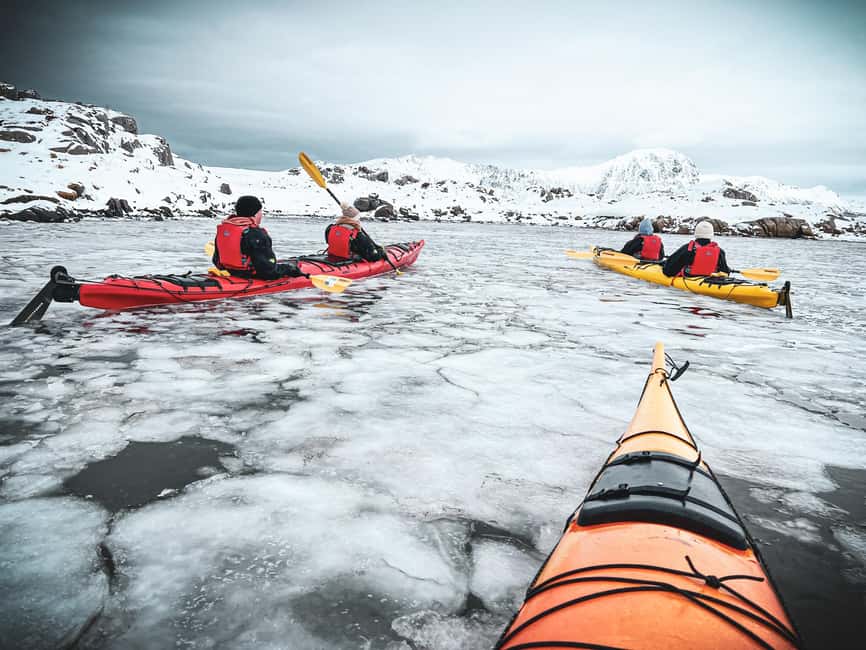 Lofoten: Half-Day Winter Kayak Adventure - Key highlights you will remember