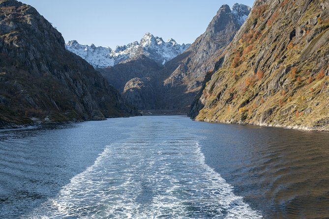 Lofoten Island: Silent Trollfjord Cruise from Svolvær - Trollfjord Stop: Eagles Overhead and the Underwater Drone Moment