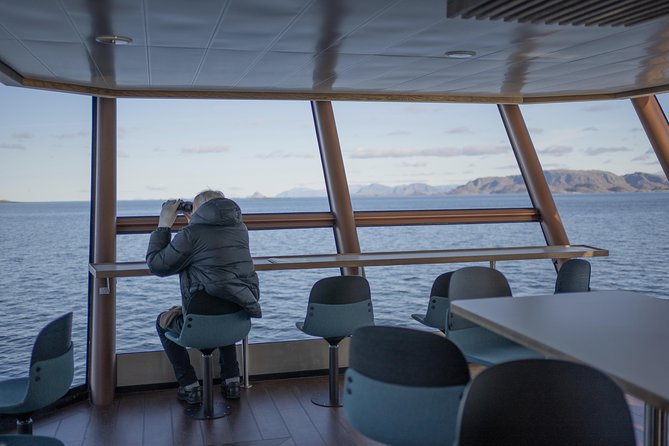 Lofoten Island: Silent Trollfjord Cruise from Svolvær - On-Board Comfort: Viewing Decks, Toilets, and Moving Around